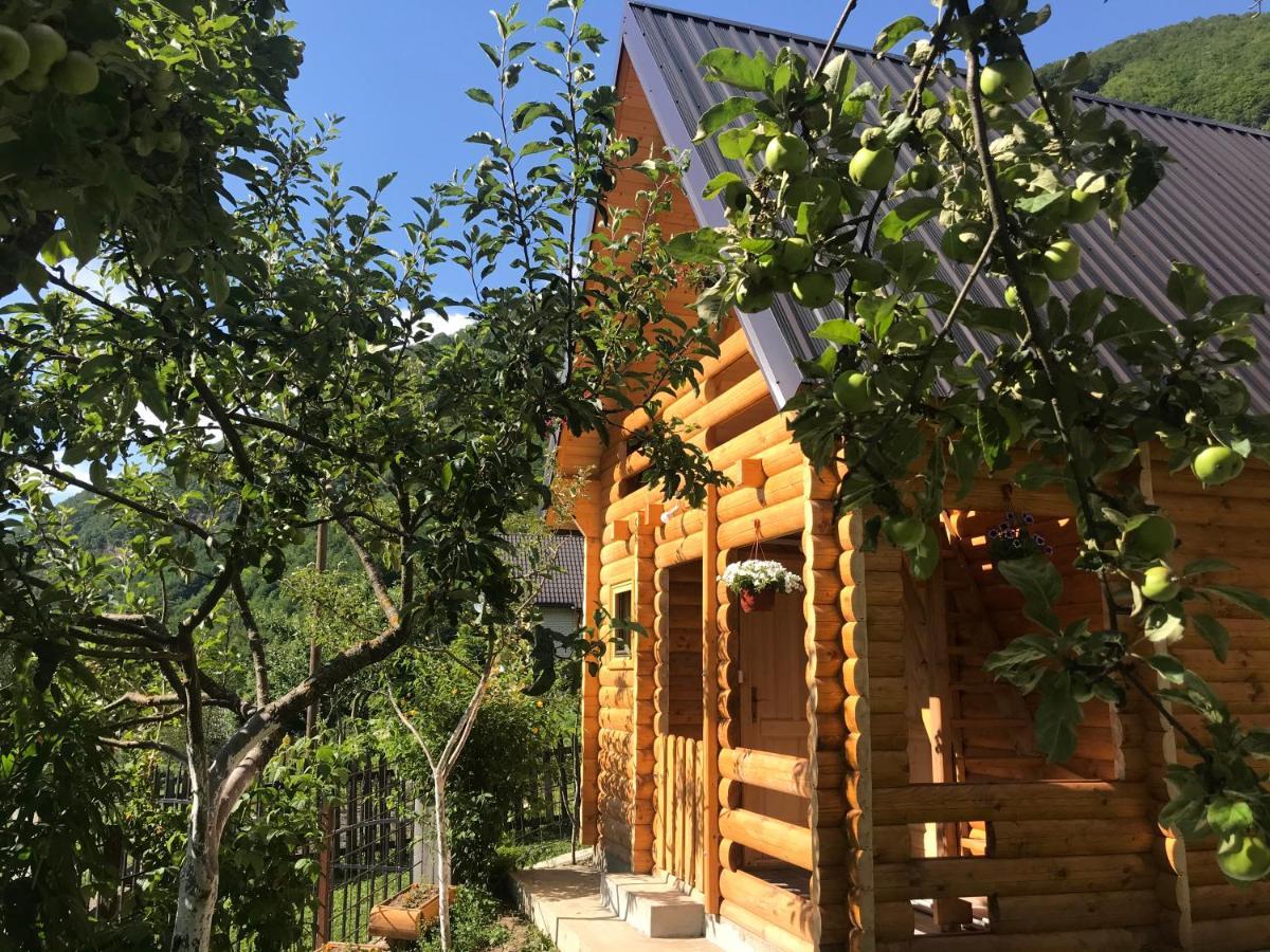 Guest House Kollata Vuthaj エクステリア 写真
