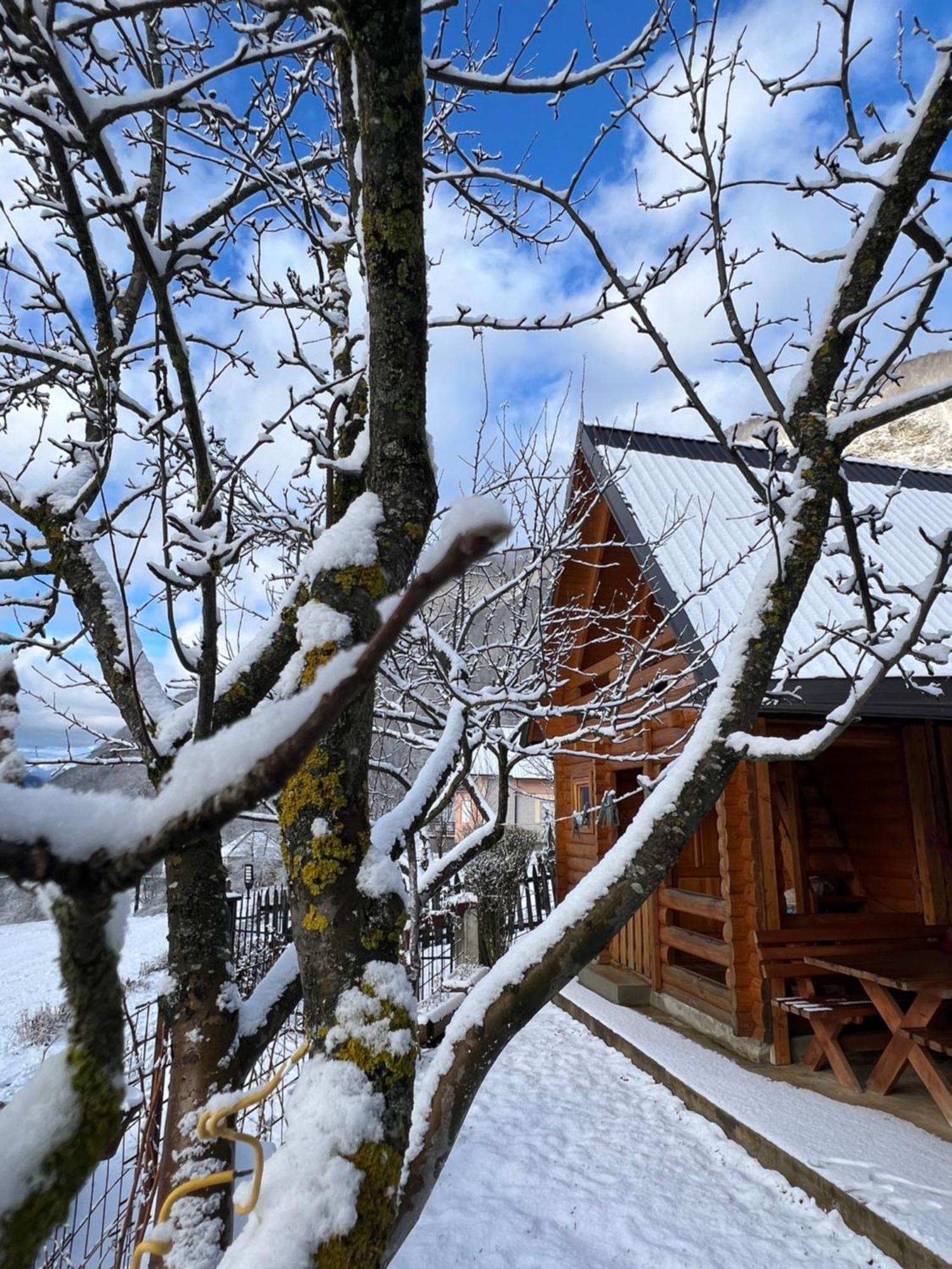 Guest House Kollata Vuthaj エクステリア 写真
